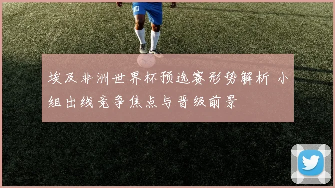 埃及非洲世界杯预选赛形势解析 小组出线竞争焦点与晋级前景