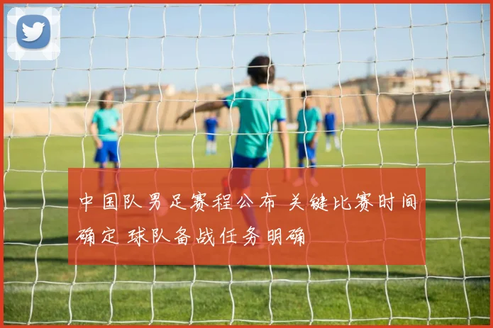 中国队男足赛程公布 关键比赛时间确定 球队备战任务明确