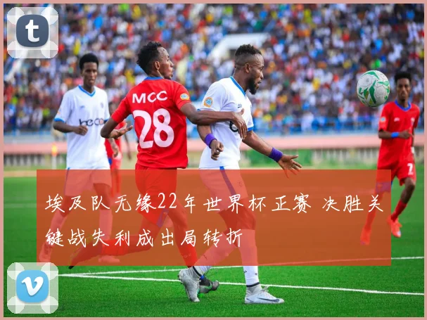 埃及队无缘22年世界杯正赛 决胜关键战失利成出局转折