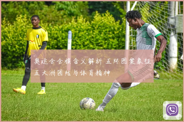 奥运会会旗含义解析 五环图案象征五大洲团结与体育精神
